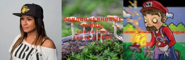 COCAINE Белокуриха