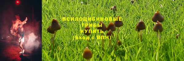 винт Белоозёрский