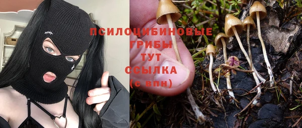 COCAINE Белокуриха