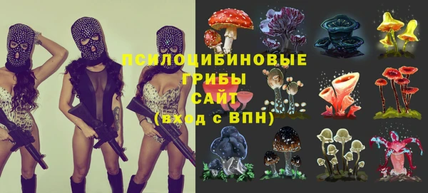 винт Белоозёрский