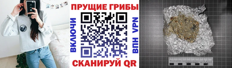 ОМГ ОМГ   Верхний Тагил  Псилоцибиновые грибы мухоморы 
