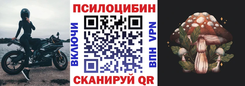 Псилоцибиновые грибы Cubensis Верхний Тагил